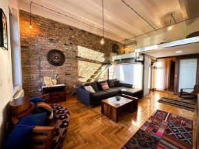 Friends Loft Sava View Old Town Renovated